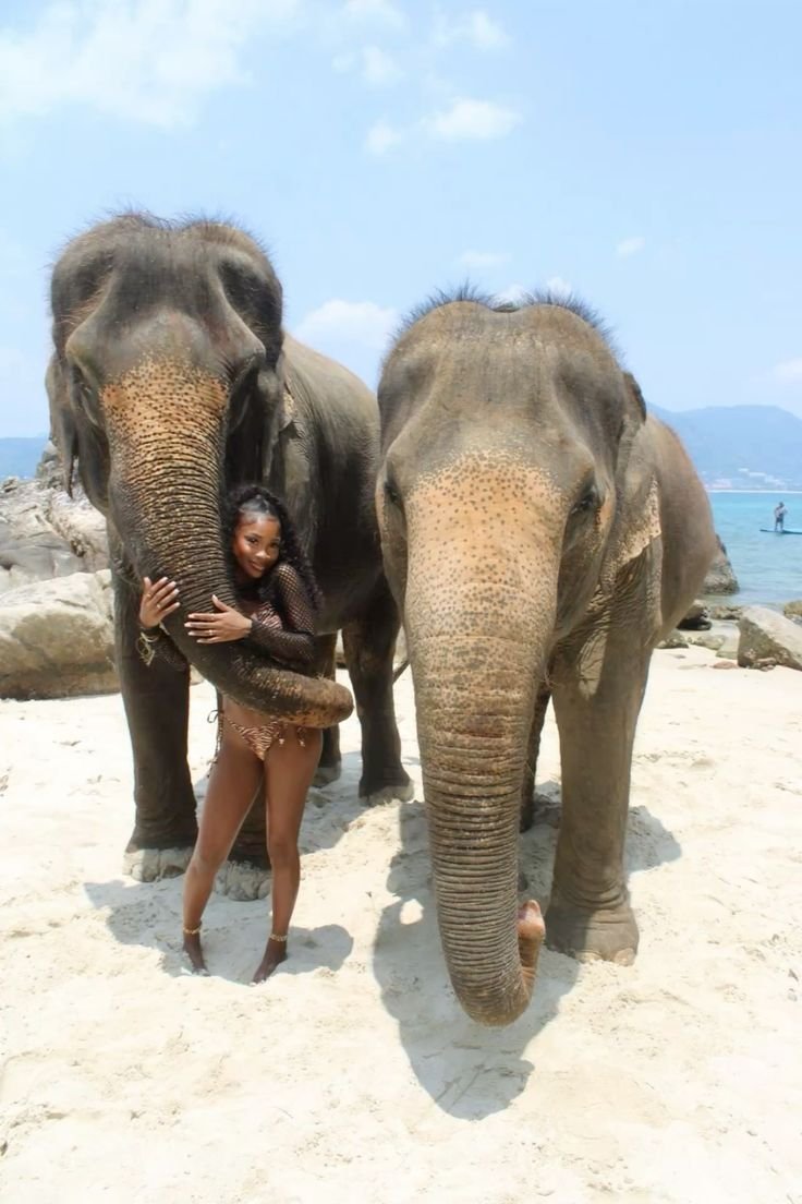 Elephant Shores